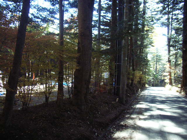 e0177824_2249650.jpg