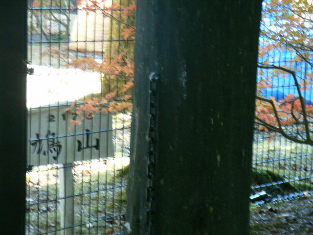 e0177824_22511852.jpg