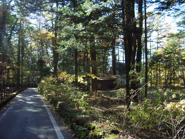 e0177824_23353564.jpg