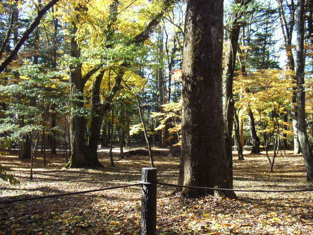 e0177824_23393257.jpg