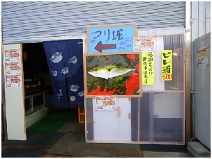 神戸レディース結成か 女二人で太刀魚釣りに つれづれなるままに