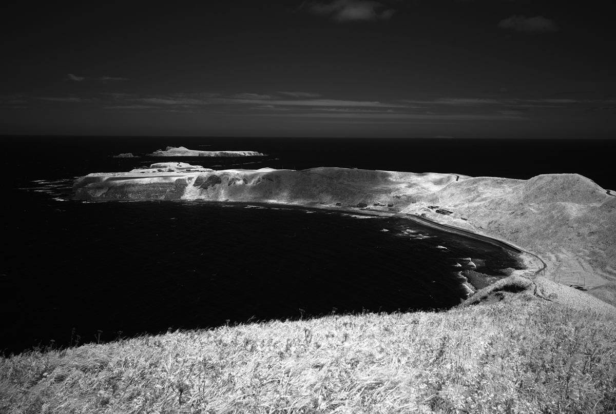 e0006135_150246.jpg