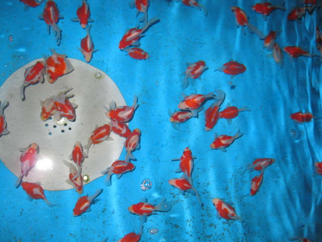 f0214235_0103721.jpg