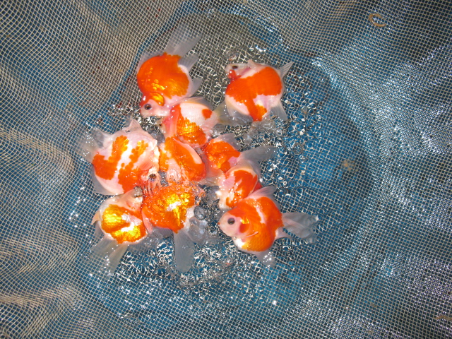f0214235_0105899.jpg