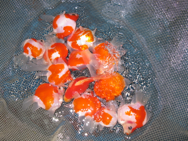 f0214235_011652.jpg