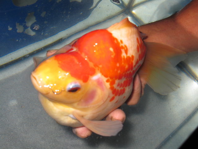 f0214235_092394.jpg