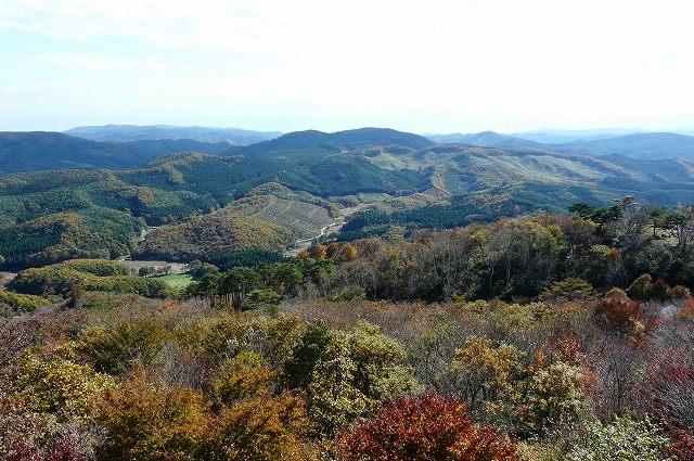 ２０１０．１１．０４芝山（８１９．３ｍ）_f0003138_17354625.jpg