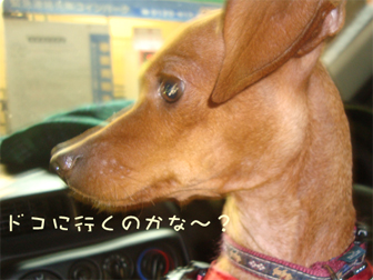 c0086746_9323561.jpg