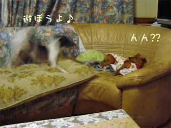 c0086746_9324732.jpg