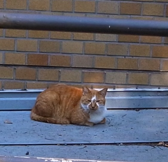 e0009147_94005.jpg