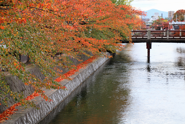 疎水の紅葉　京都の秋（２）_f0140054_18195644.jpg