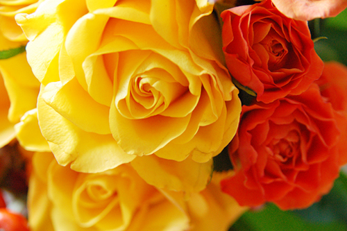 birthday_d0109756_192986.jpg