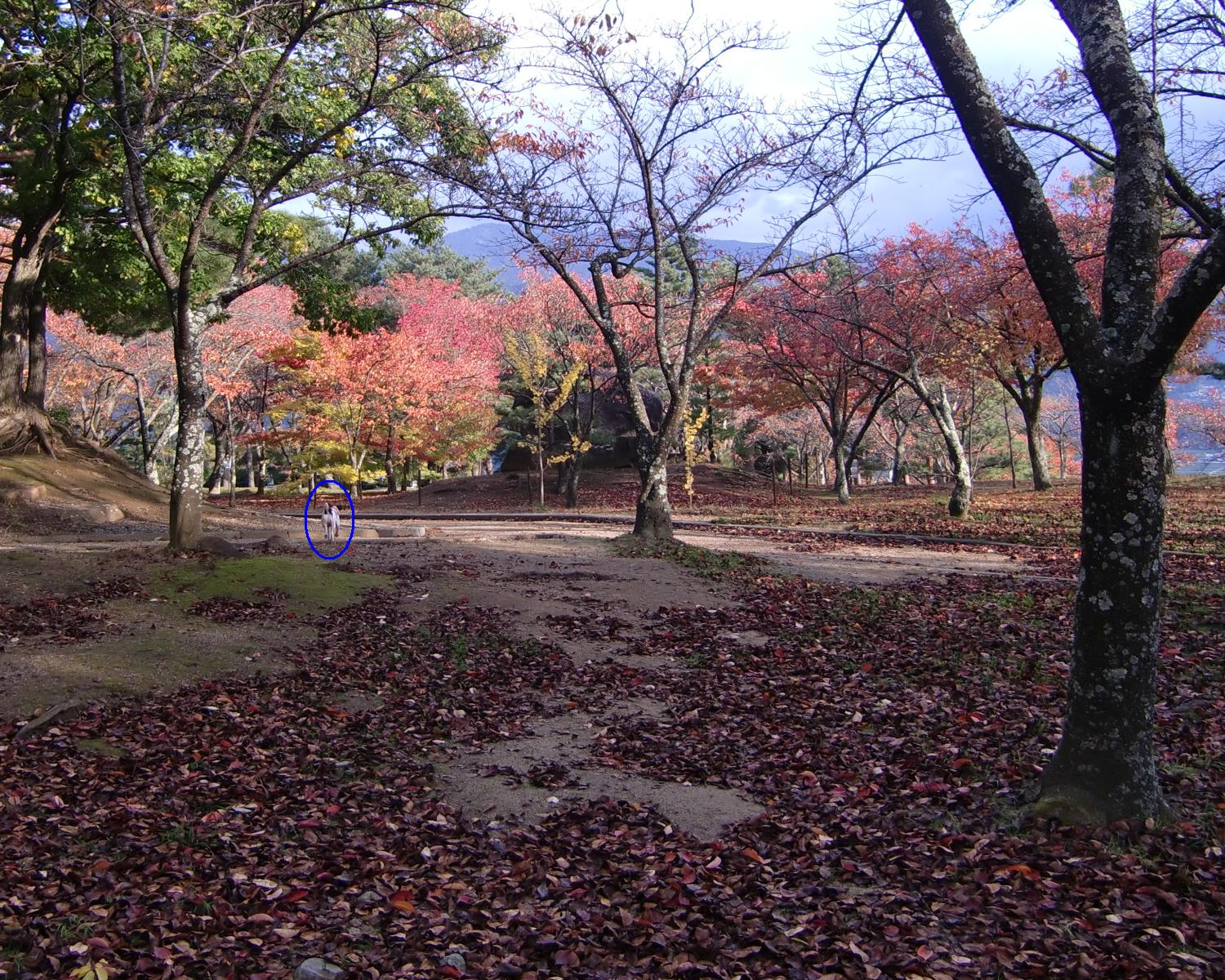 c0140260_07349.jpg