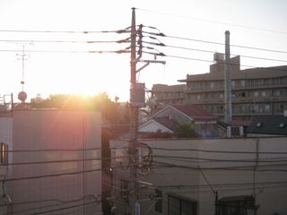 d0056563_16373734.jpg