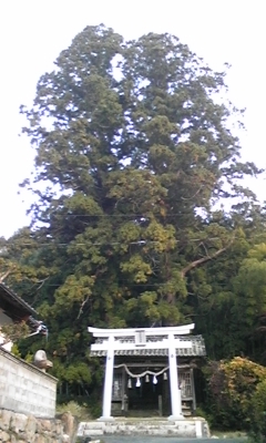 蘇羅比古神社・・・_e0143667_1128323.jpg