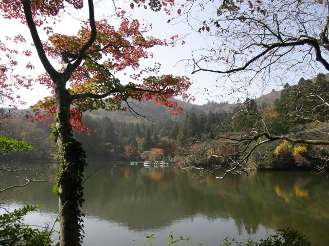 c0042869_19371036.jpg