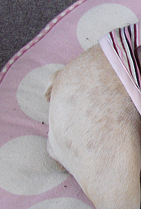 d0152869_22161143.gif