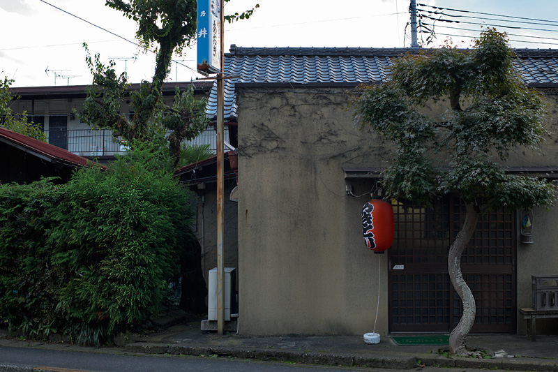 石神前、日向和田、宮之下……ちんまりした駅が続く 2010年11月3日_d0123571_022969.jpg