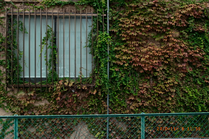 f0167977_1825168.jpg