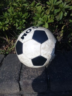 f0024291_14344074.jpg