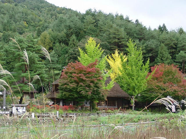 富士五湖旅行　その３　/　Fuji Lakes trip Part 3_a0032004_3203861.jpg