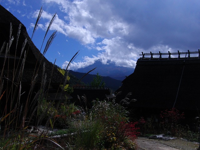 富士五湖旅行　その３　/　Fuji Lakes trip Part 3_a0032004_3295452.jpg