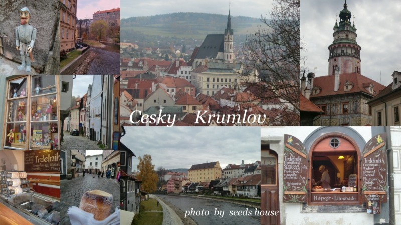 Cesky   Krumlov_d0165507_12393125.jpg