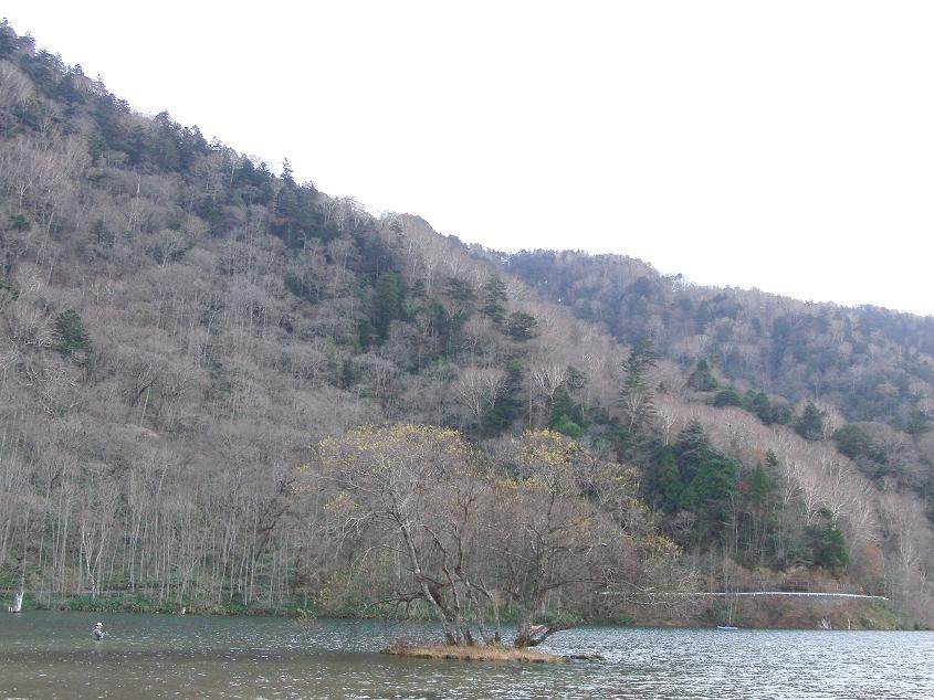 丸沼〆釣行!_d0126708_22103048.jpg