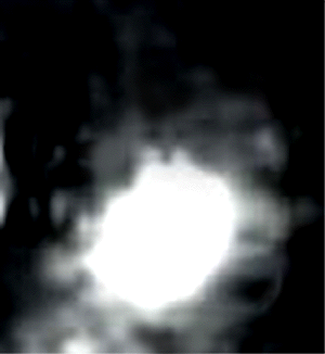 e0103408_5243550.gif