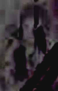 e0103408_5315056.gif