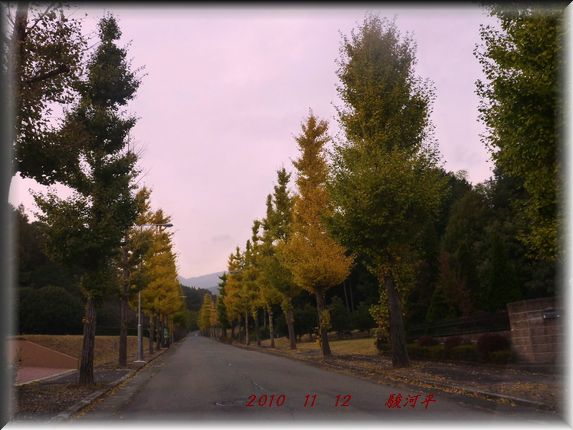 c0097309_20454028.jpg