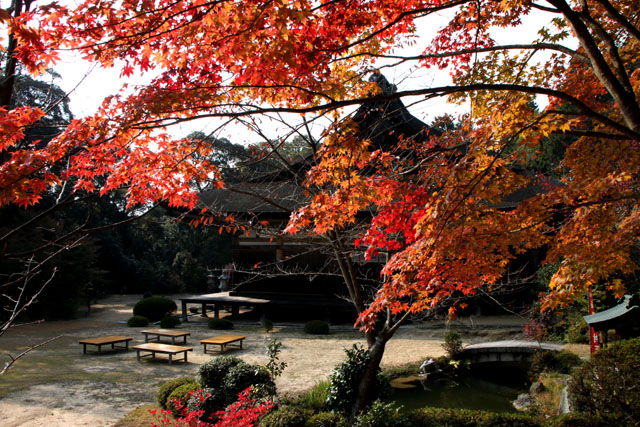湖南三山 善水寺_e0048413_213183.jpg