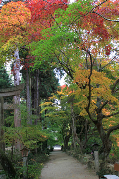 湖南三山 長寿寺_e0048413_2152010.jpg