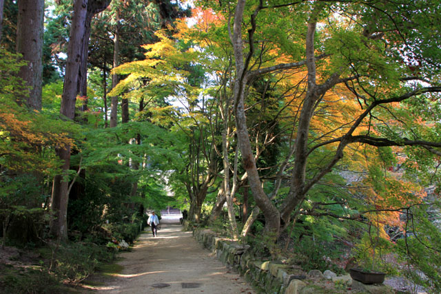 湖南三山 長寿寺_e0048413_21521377.jpg