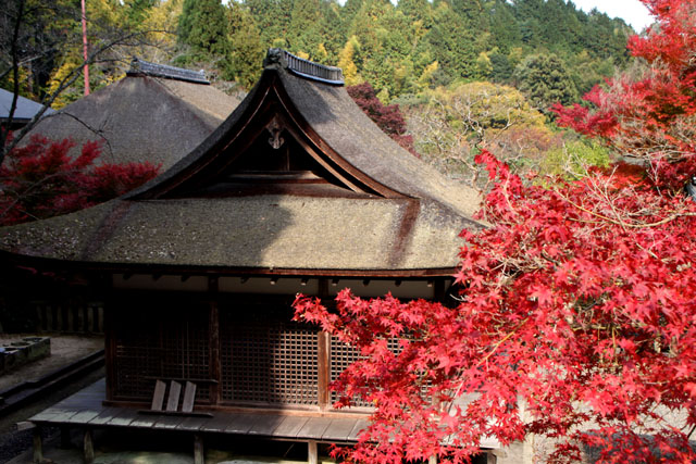 湖南三山 長寿寺_e0048413_21523753.jpg