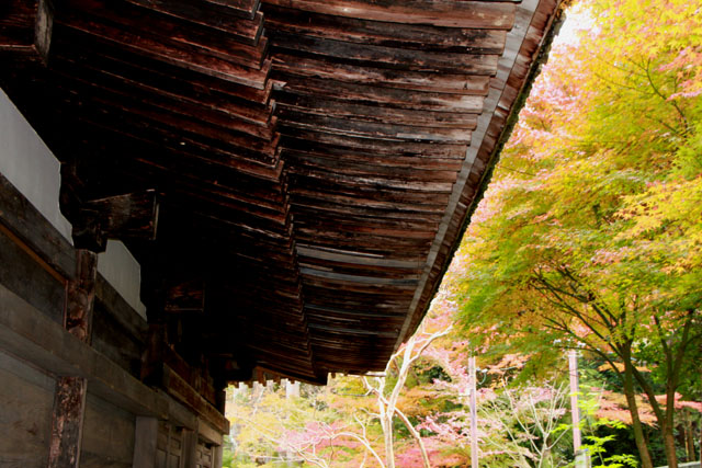湖南三山 長寿寺_e0048413_2152498.jpg