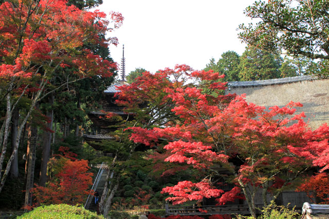 湖南三山 常楽寺_e0048413_2226215.jpg