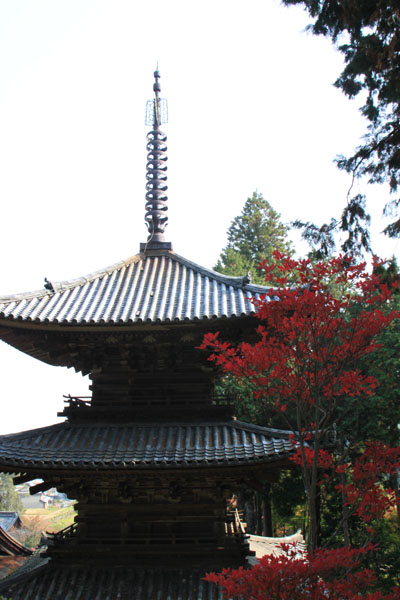 湖南三山 常楽寺_e0048413_22263325.jpg