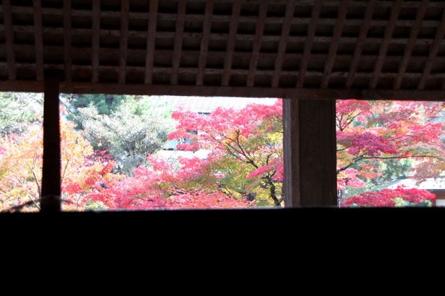 湖南三山 常楽寺_e0048413_2227792.jpg