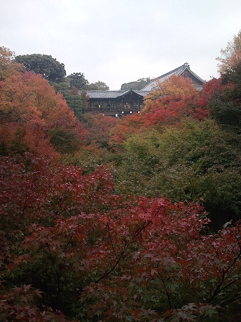 東福寺の秋_a0048918_8362164.jpg