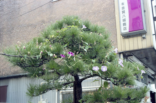c0205224_2125012.jpg