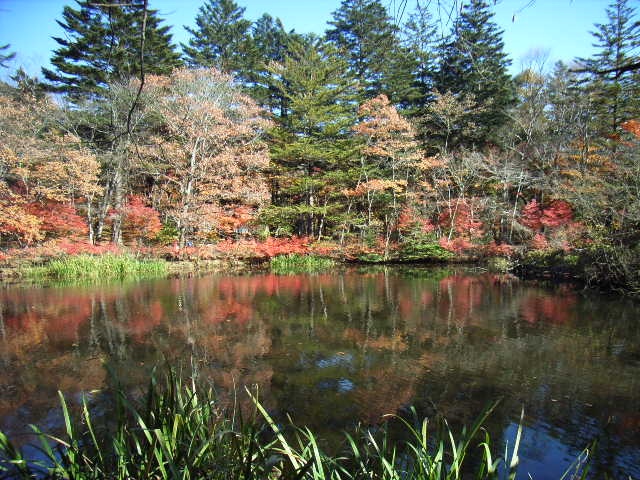 e0177824_0445142.jpg