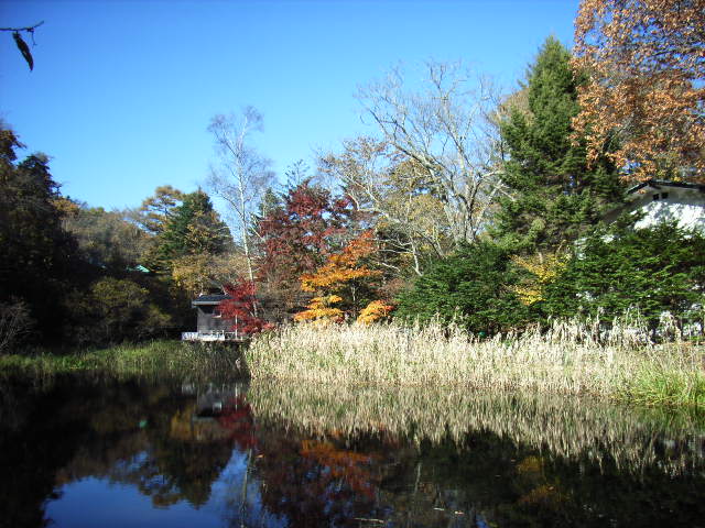 e0177824_04605.jpg