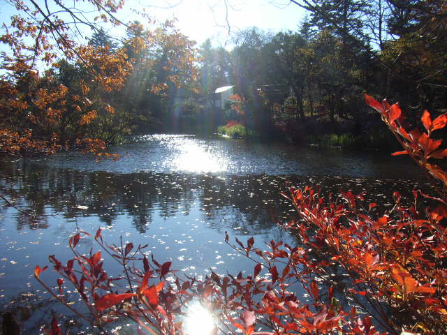 e0177824_0462258.jpg