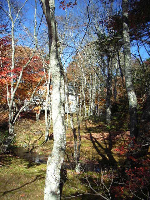 e0177824_0464951.jpg