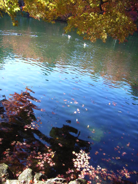 e0177824_051767.jpg