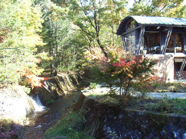 e0177824_0542575.jpg