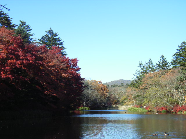 e0177824_0544678.jpg