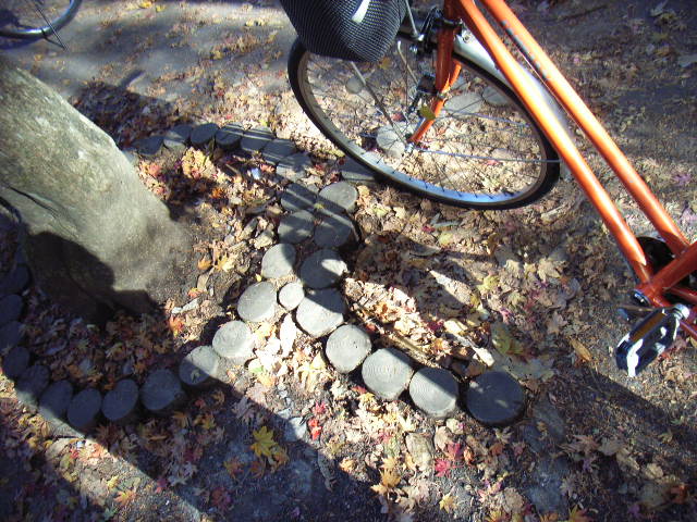 e0177824_0551062.jpg
