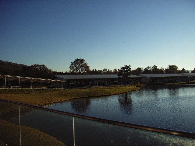 e0177824_059476.jpg